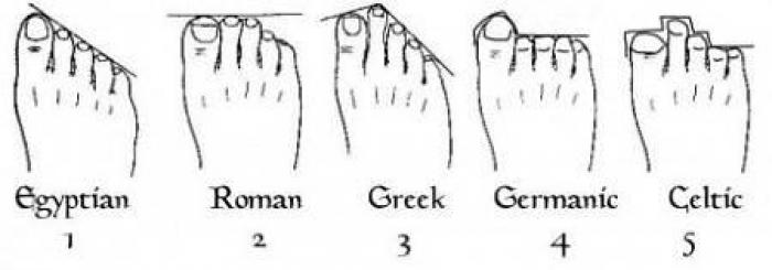 Hand Ancestry Chart